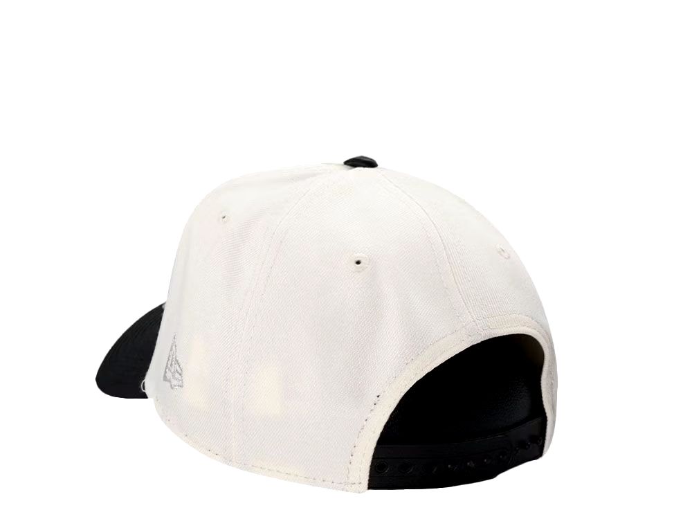 HOUSTON ASTROS